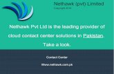 Nethawk Contact Centre Solutions - Call Centre Development