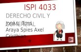 4033 araya spies_axel_tp9