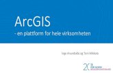 ArcGIS  en plattform for hele virksomheten - BK2016