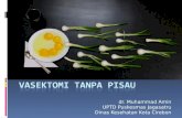 Vasektomi Tanpa Pisau (VTP)