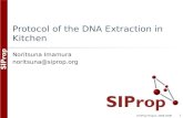 Protocol of the DNA Extraction in Kitchen
