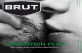 Brut Promotion Plan