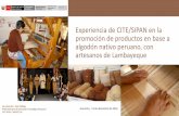Experiencia del CITE/SIPAN en la promoción de productos en base a algodón nativo peruano, con artesanos de Lambayeque – Eduardo Díaz