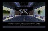 logotype White Stone - Project 2