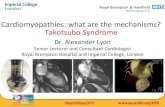 Takotsubo cardiomyopathy Machanism