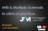 R lavayssiere mri and multiple sclerosis in clinical practice jfim hanoi 2015
