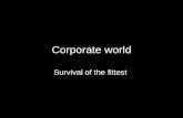 Corporate world survival of the fittest africa