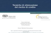 IPE-Banca Popolare del Mediterraneo "Tecniche di attenuazione del rischio di credito" 2015