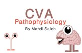 cerebrovascular accident pathophysiology