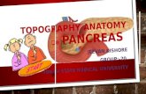 Topography anatomy of pancreas
