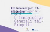 Collaboration in eTwinning: Project management - MT