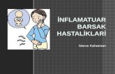 Inflammatory bowel disease IBD