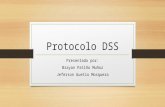 Protocolo dss