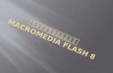 การลอกลายโดย  Macromedia flash 8