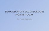 Duygudurum Bozuklukları: Nörobiyoloji (Dr Fuad Bashirov)