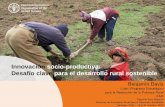 Innovación socio-productiva: desafío clave para el desarrollo rural sostenible