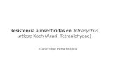 Resistencia a insecticidas en Tetranychus urticae