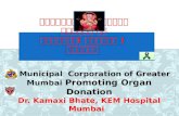 हिंदी Organ Donation Slides