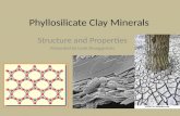 Phyllosilicate clays