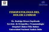 Fisiopatologia del dolor lumbar (pp tshare)