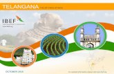 Telangana Sectore Report - October 2016