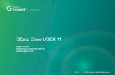 Обзор Cisco UCCX 11