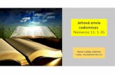 Jehová envía codornices