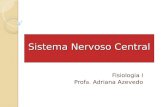 Fisiologia - Sistema Nervoso Central