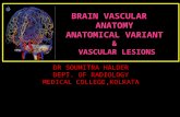 Vascular brain lesions for radiology by Dr Soumitra Halder