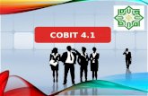 Cobit 4.1 indri