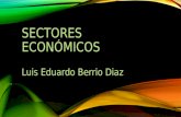 Sectores   Económicos