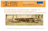 Evaluarea veniturilor ratate în urma practicilor forestiere nedurabile din Republica Moldova