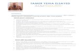 Tamer Yehai CV REV4