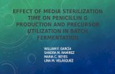 Diapositivas penicilina