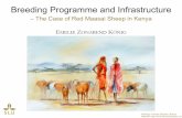 Breeding Programme and Infrastructure - The Case of Red Maasai Sheep in Kenya