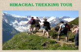 Himachal trekking tour