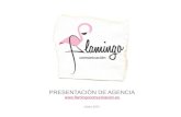 Presentación de agencia - Flamingo Comunicación (2017)