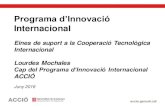 Serveis d’Innovació i Cooperació Tecnològica Internacional