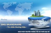 SMS Brandname Proposal - Quảng cáo bằng Tin nhắn Thương hiệu