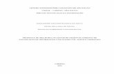 Monografia - PROPOSTA DE MELHORIA NO SETOR DE DESENVOLVIMENTO DE TECNOLOGIA DE INFORMAÇÃO UTILIZANDO ITIL SERVICE OPERATION