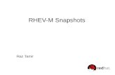 RHEVM - Snapshots