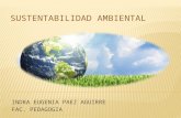 Sustentabilidad ambiental diapositivas