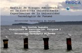 Gestión de Riesgos Ambientales en la Currícula Universitaria-Experiencias de la Universidad Tecnológica de Panamá