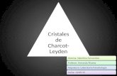 Cristales Charcot-Leyden.
