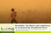 Benefits, burdens and solutions to Indonesian Peatland Fires