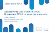 Архитектура Cisco Unified MPLS: Внедрение MPLS на всех уровнях сети.