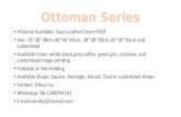 Ottoman series from dihua liu  20161008