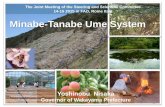 Minabe-Tanabe Ume System