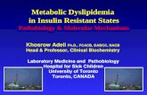201 metabolic dyslipidemia