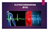 Eletrocardiograma  ECG e Enzimas Cardíacas e Hepaticas